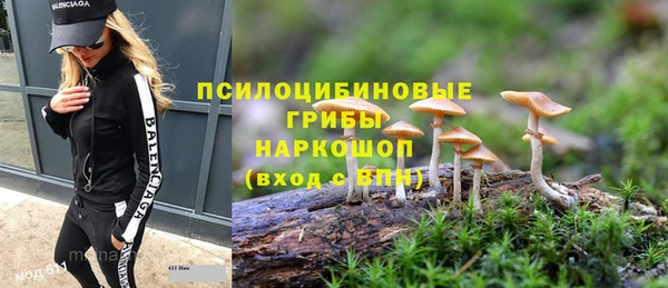 спайс Беломорск